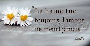 La Haine Tue Toujours L Amour Ne Meurt Jamais Gandhi Words Quotes Gandhi