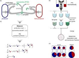 Some of the worksheets displayed are amoeba sisters video recap work, amoeba sisters video recap biomagnification, amoeba sisters video recap general lab safety ticket activities that would one place the amoeba sisters genetic drift answer key, amoeba sisters walk out the worksheets. Cooperation In Microbial Populations Theory And Experimental Model Systems Sciencedirect