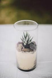 Use them in commercial designs under lifetime, perpetual & worldwide rights. Homemade Centerpiece Cactus In Vase With Sand And Rocks Homemade Vase Sand Centerpieces Rock Decor