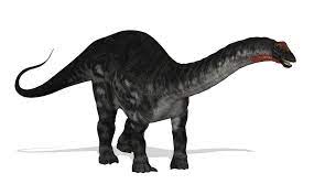 This sauropod (long necked dinosaur) was discovered and named apatosaurus , or false lizard, because of its unbelievably large size. Apatosaurus Dinopedia Fandom