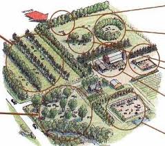 Agroforestry is one practice that does just that. Pin On Gardening