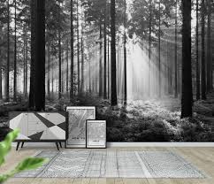 Black And White Birch Tree Wallpaper Forest Black And White Wallpaper Forest Wall Mural Nature Photo Wallpaper Black And White Wallpaper