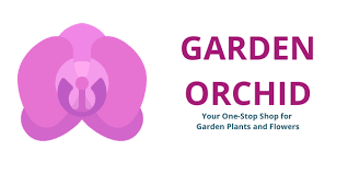 Maybe you would like to learn more about one of these? Epipactis Gigantea Serpentine Night Orchid For Garden