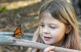 Ventura Fish and Wildlife Office 2022 Year in Review