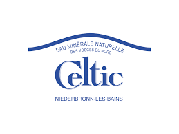 The boston celtics logo was designed by red auerbach's brother, zang, in the early 1950's. Celtic Logo Png Transparent Logo Freepngdesign Com