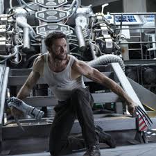 All hugh jackman movies ranked like robert downey jr. Star Fitness Hugh Jackman Liebt Harte Arbeit Fit For Fun