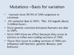 In biology, a mutation is an alteration in the nucleotide sequence of the genome of an organism, virus, or extrachromosomal dna. Unit 2 Molecular Genetics Recombinant Dna Technology Lesson