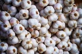 Du kannst knoblauch ganz einfach daheim in einem topf anbauen und die knollen ernten, um damit zu kochen oder das grünzeug zum garnieren verwenden! Knoblauch Die Besten Tipps Gegen Den Geruch Und Weitere Fakten