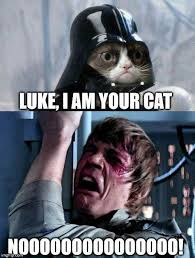 One has claws at the end of its paws and the other has a pause at the end of a clause. 20 Of The Best Cat Wars Memes To Get You Ready For Star Wars I Can Has Cheezburger