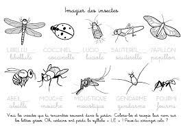 coloriage de insecte et des dessins a imprimer 23 insectes imagier hotwheels