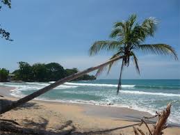 Imagine suddenly finding yourself exploring a rainforest, soaking in hot springs, or relaxing on. Montezuma Badebuchten Und Surferstrande Erlebe Costa Rica