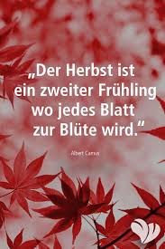 Ein Zweiter Fruhling Wo Jedes Blatt Zur Blute Wird Spruch Spruche Garten Herbst Blatt Laub Blu Pflanzen Online Kaufen Schwarzaugige Susanne Pflanzen