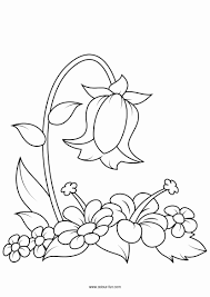 The flower coloring pages templates are ideal for both kids and adults. Flowers Coloring Book Pdf Meriwer Coloring