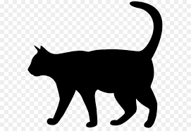 Are you searching for transparent images? Cat Silhouette Png Download 8000 7522 Free Transparent Cat Png Download Cleanpng Kisspng