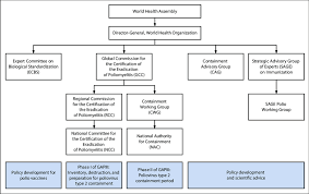 figure organizational chart for groups involved in the