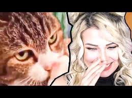 Komik Kediler Gulmeme Challenge Youtube