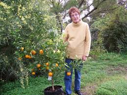 We did not find results for: Dwarf Bonsai Fruit Tree Fruit Trees