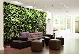 Indoor green plant in a pot with red flowers on neutral beige background wall. Ways Of Decorating Your Interior With Green Plants Home Design Lover