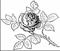 You can print or color them online at getdrawings.com for absolutely free. Rose Coloring Pages Realistic 101 Coloring