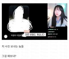 본인 성기 사진 여성 스트리머에게 보내는 변태들 > 자유게시판 | 퀘이사존 QUASARZONE