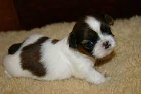 Pin On Cute