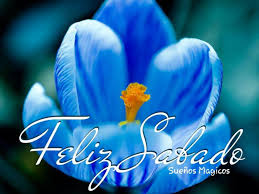 Pagesotherbrandwebsitepersonal blogmensajes de jesucristovideosbuenos dias bendecido sàbado. Feliz Sabado Buenos Dias Imagenes Nuevas Pagina 8 De 10 Hermosasimagenes Net