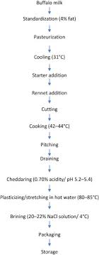 Mozzarella Cheese An Overview Sciencedirect Topics