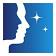 Gemini Group logo