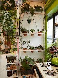 Tour Summer Rayne Oakes New York Apartment With Over 750 Plants Hgtv Plants Small Decor Baskets On Wall