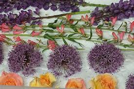 Aug 21, 2021 · how long does it take to dry flowers in silica gel? Crafts Flower Drying Indicating Silica Gel Dry Your Flowers Other Crafts