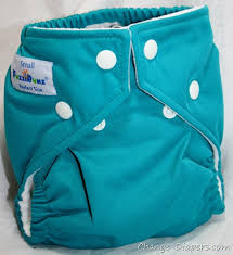 fuzzibunz perfect size diapers