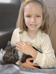 New pig owner... we got Chewy Saturday. He is 8weeks old and was VERY timid  when he came home but is already warming up to snuggles and is loving his  bed. We