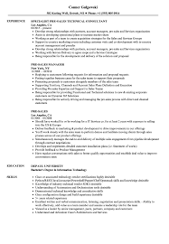 Pre Sales Resume Samples Velvet Jobs