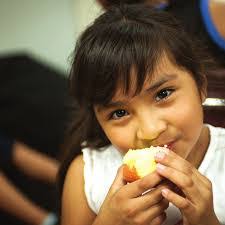 Laura Shuster's Instagram, Twitter & Facebook