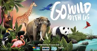 Featuring new shoots with megan mckenna and rosie jones. Buy Singapore Zoo Tickets Online World Famous Open Concept Zoo