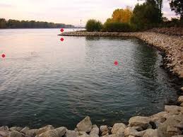 Zanderangeln Tipps Zum Angeln Von Zander Mit Gummifisch Und Twister Montagen An Buhnen Und Stromung Am Rhein Fangzeit Und Zander Angeln Angeln Fische Angeln