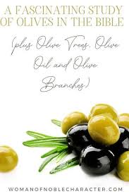 A Fascinating Study Of Olives In The Bible Plus Olive Trees Olive Oil And Olive Branches In 2020 Bible Olive Olive Branch