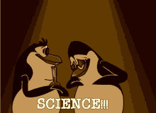 Maybe you would like to learn more about one of these? Penguins Of Madagascar Meme Gifs Tenor