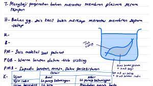 (i) berikan definisi pengangkutan pasif (2 markah). Eksperimen 3 1 Mengkaji Pergerakan Bahan Merentas Membran Plasma Secara Resapan Youtube