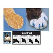 Soft Paws Cat Nail Cap Kit Cat Claw Covers Cat Hacks Cat