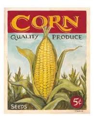 Fresh Corn Art Print K Tobin Art Com Corn Fresh Corn Art Prints