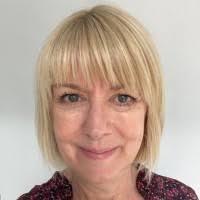 1700+ "Willmore" profiles