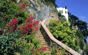 The Heart Of Anacapri Private Tour Capri Italia Isola Di Capri Luoghi