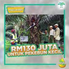 Kalau nak tahu, kualiti #minyaksawit di #malaysia ni lagi power dari negara pengeluar no.1 minyak sawit di dunia iaitu. Pensijilan Minyak Sawit Mampan Malaysia Mspo Mpob