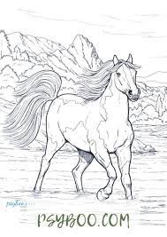 free american quarter horse coloring page realistic horse for coloring