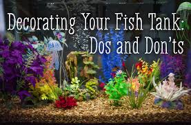 It is also very satisfying to see all the gunk that you remove from the gravel of your tank. How To Decorate Your Fish Tank Dos And Don Ts Pethelpful By Fellow Animal Lovers And Experts