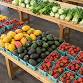 Captiva Island Farmers Market