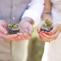 A Succulent Wedding — Needles + Leaves