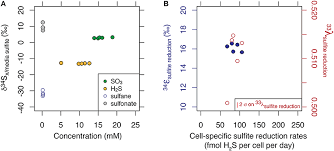 Frontiers Deconstructing The Dissimilatory Sulfate Reduction Pathway Isotope Fractionation Of A Mutant Unable Of Growth On Sulfate Microbiology