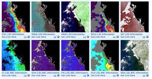 Earth Matters How Scientists Are Tracking Floridas Red